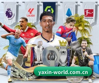 亚新体育 APP - yaxin